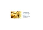 VPInstruments - Energy Monitoring in Compressed Air Systems