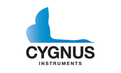 The Gauge That Outlasted Expectations