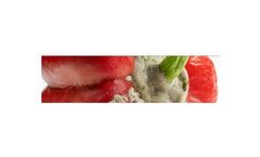 Humidity desiccant dehumidifiers solutions for mold/fungus prevention sector