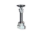 DHV - Cryogenic Valve