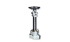 DHV - Cryogenic Valve