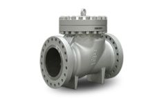 DHV - Piston & Swing Check Valves