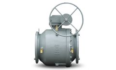 DHV - 2-Piece Trunnion Mounted Ball Valve