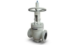 DHV - Rising Stem Ball Valve