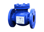 Titan - Model CV31F-CI - Swing Check Valve