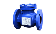 Titan - Model CV31F-CI - Swing Check Valve