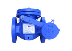 Titan - Model CV31WF-CI - Swing Check Valve