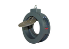 Titan - Model CV32-CS - Swing Check Valve