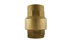Titan - Model CV20-BR - Swing Check Valve