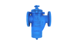 Titan - Model BS25F-CI - Basket Strainer