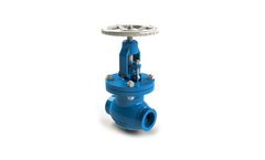 MSA - Model C 09.1 - Globe Valves According to API