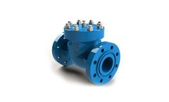 MSA - Model C 09.4 - Swing Check Valves According to API 6D