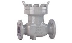 C&C - Model Guardian Series - Piston Check