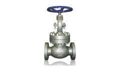 Class - Cast Steel Globe Valve
