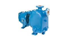 Model 1796 Series - Self Priming ANSI Centrifugal Pumps