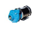 Model RCP Series - End Suction Pumps
