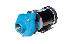 Model RCP Series - End Suction Pumps