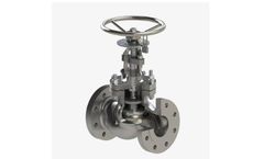 Petrol - Straight Pattern Globe Valve