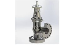 Petrol - Angle Pattern Globe Valve