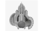 Petrol - Model G-Stream Series - Globe Control Valve