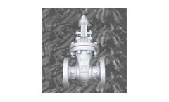 BAF - Globe Valve