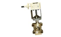 BAF - Triple Eccentric High Performance Valves