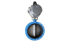 BAF - Rubber Lined Butterfly Valves