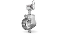 Quadax - Top Entry Butterfly Valve