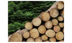 Sunkaier - Chemical Pulp Paper