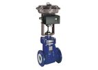 AEGIS - Model RSS Series - Fully Lined Bellows Sealed Control Valves
