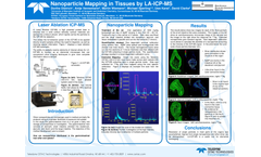 Nanoparticle Mapping in Tissues by LA-ICP-MS - Application Note