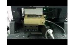HeLex Cell Movement (with Captions) Video