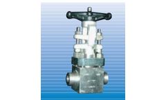 Douglas - Model ASTM A182/F316L - Urea Service Valve