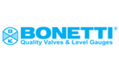 Hydraulic testing of BONETTI`s parallel slide gate valve 12` ASME 2500 Video