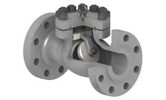 Fluitek - Model Swing Type - Bolted Bonnet