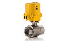 Triad - Model 22D - Electric Stainless Ball Valve