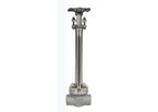BFE - Forge Cryogenic Valve