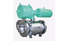 Della Foglia - Trunnion Side Entry Ball Valve