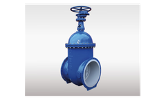 HD Industrie - Gate Valves