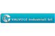 R.T. Valvole Industriali Srl.