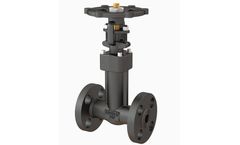 FEVISA - Pressure Seal Bonnet Gate Valve