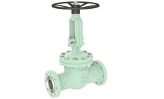 FEVISA - Cast Gate Valves