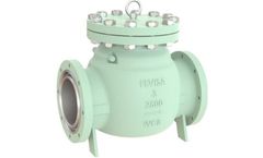 FEVISA - Cast Swing Type Check Valves