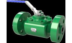 IBOR - Model Figure 36000 - Floating Valves for Top Entry Soft Seat
