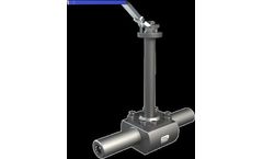 IBOR - Model Figure 36001 - Floating Valves for Top Entry Metal Seat