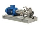 Amarinth - Model API 610 OH1 - Horizontal Centrifugal Process Pump