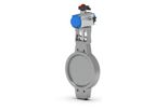 Jasta - Model AB-54 - Double Eccentric Disc Valve