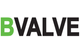 Bvalve Flow Systems & Controls