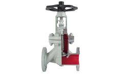 Bvalve - Model 25065-66 - Bellow Valves