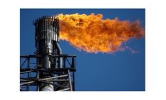 Substitution of Natural Gas